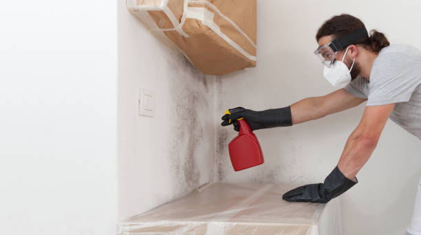 Professional Black Mold Removal technician working in Union City, GA