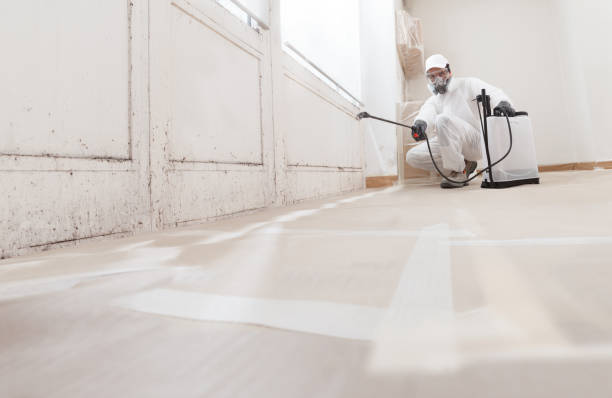 24/7 Emergency Black Mold Removal experts in Union City, GA