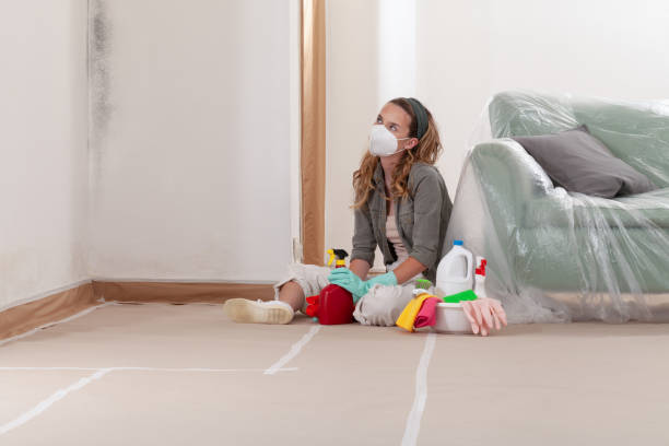Reliable Black Mold Removal contractor in Union City, GA by WQB Mold Removal